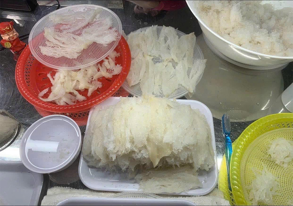 So sánh yến đảo và yến nhà