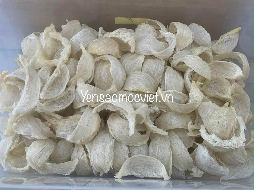 Lựa chọn yến đảo hay yến nhà