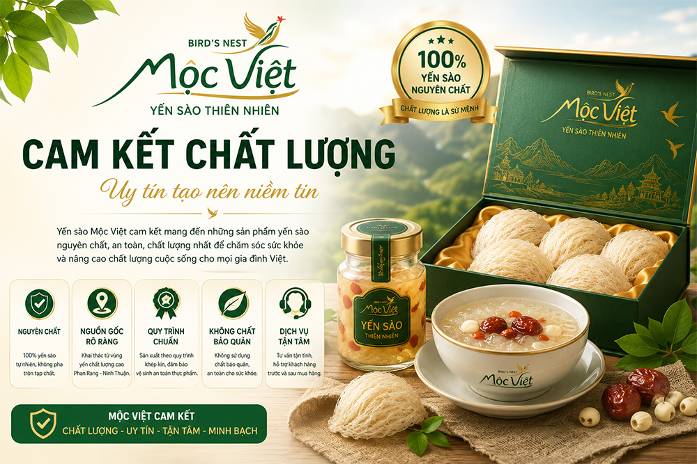 Cam kết chất lượng của Yến sào Mộc Việt | Yến sào nguyên chất, an toàn
